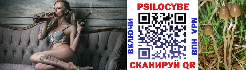 хочу наркоту  Ковров  Псилоцибиновые грибы Psilocybine cubensis 