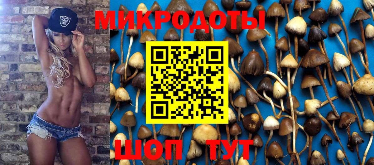 Ковров  дарнет шоп  Вход с VPN  Псилоцибиновые грибы мицелий 